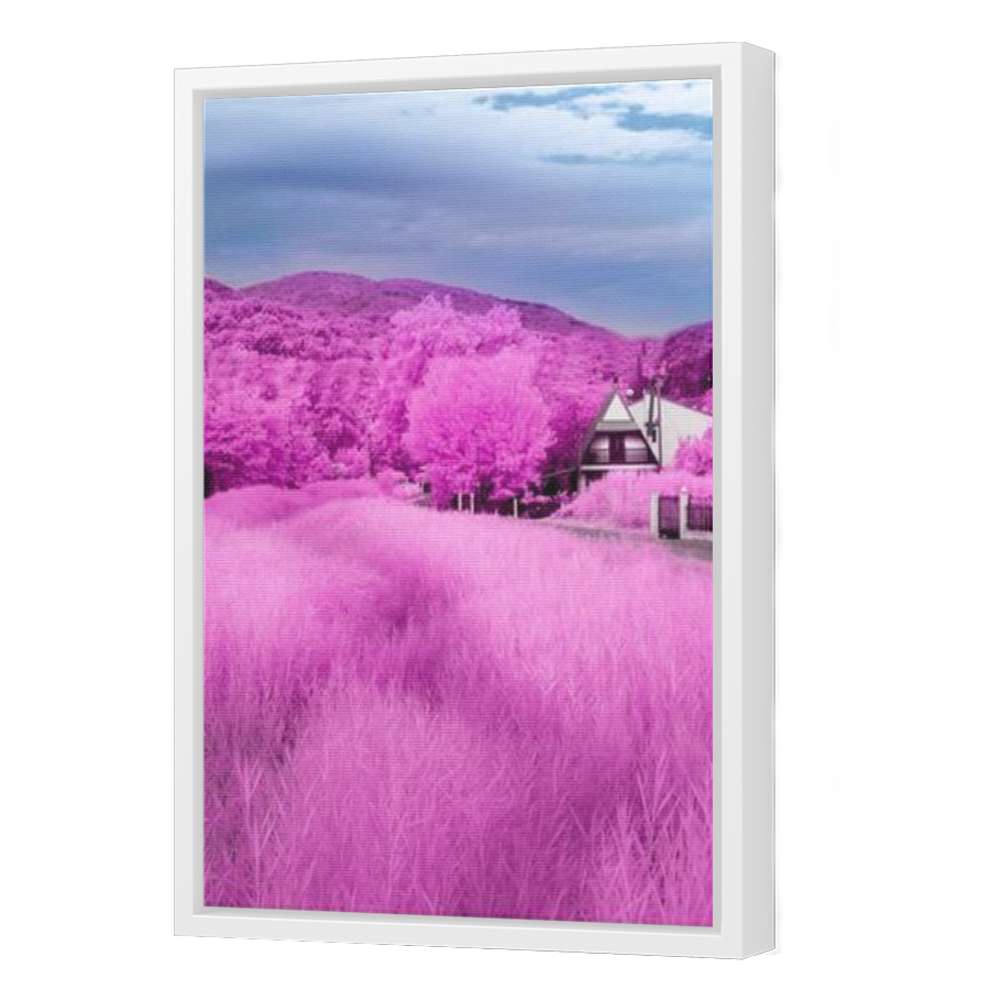 Thumbnail for Canvas - White Floating Frame