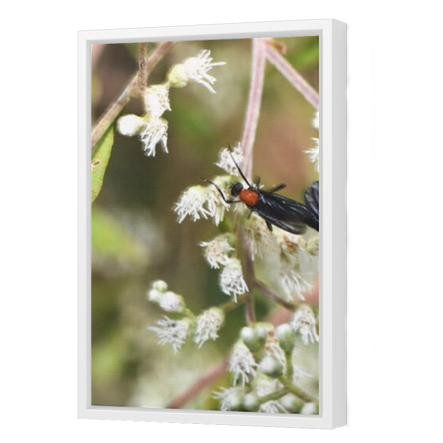 Thumbnail for Canvas - White Floating Frame