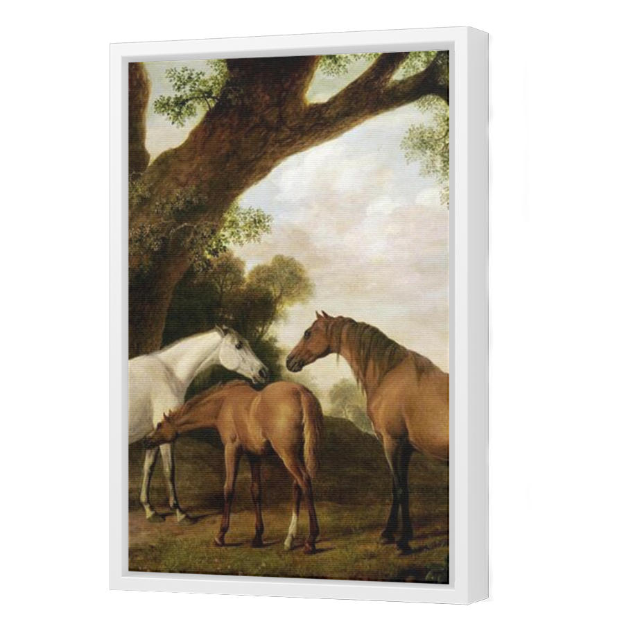 Thumbnail for Canvas - White Floating Frame