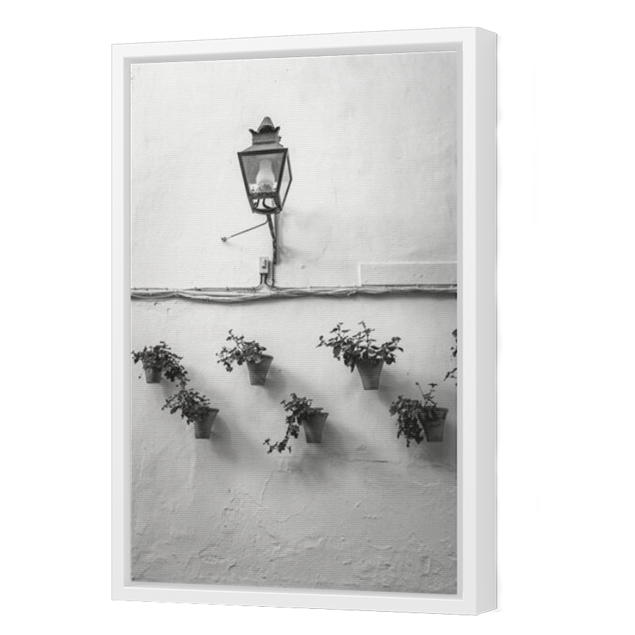 Thumbnail for Canvas - White Floating Frame