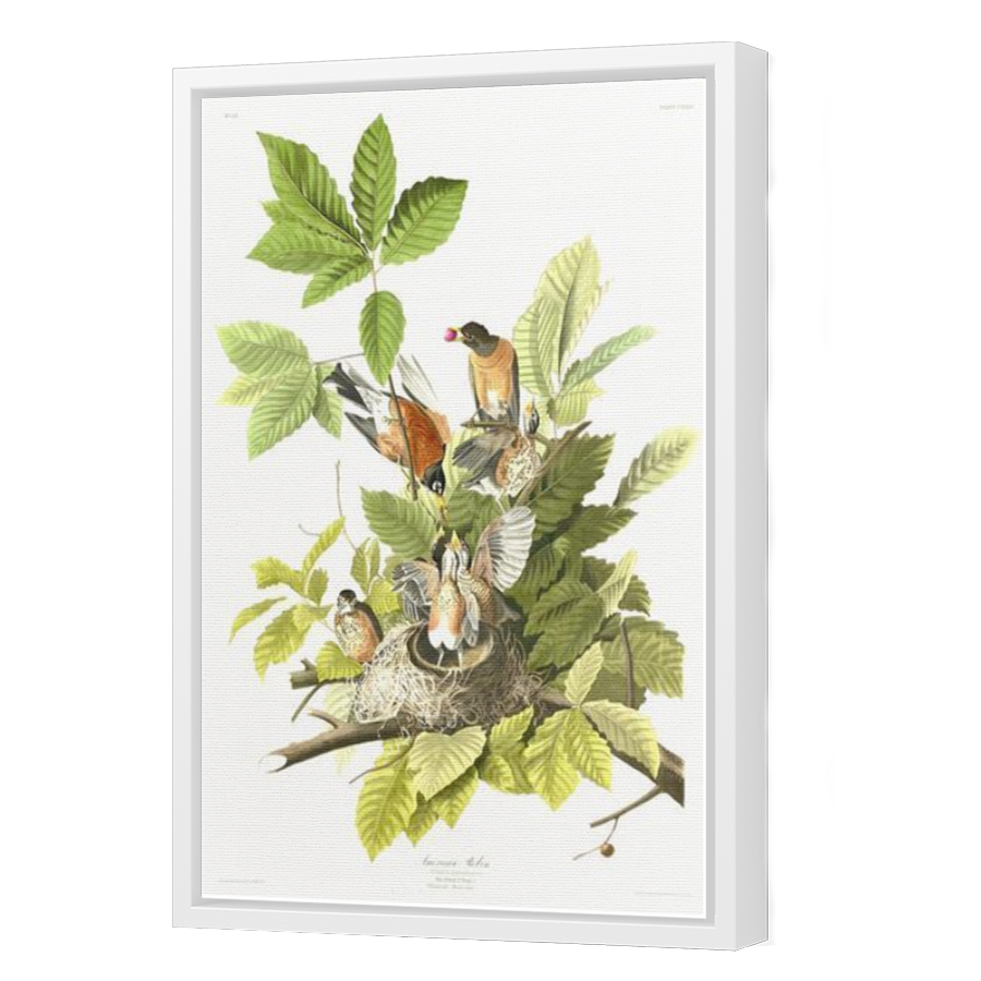 Thumbnail for Canvas - White Floating Frame