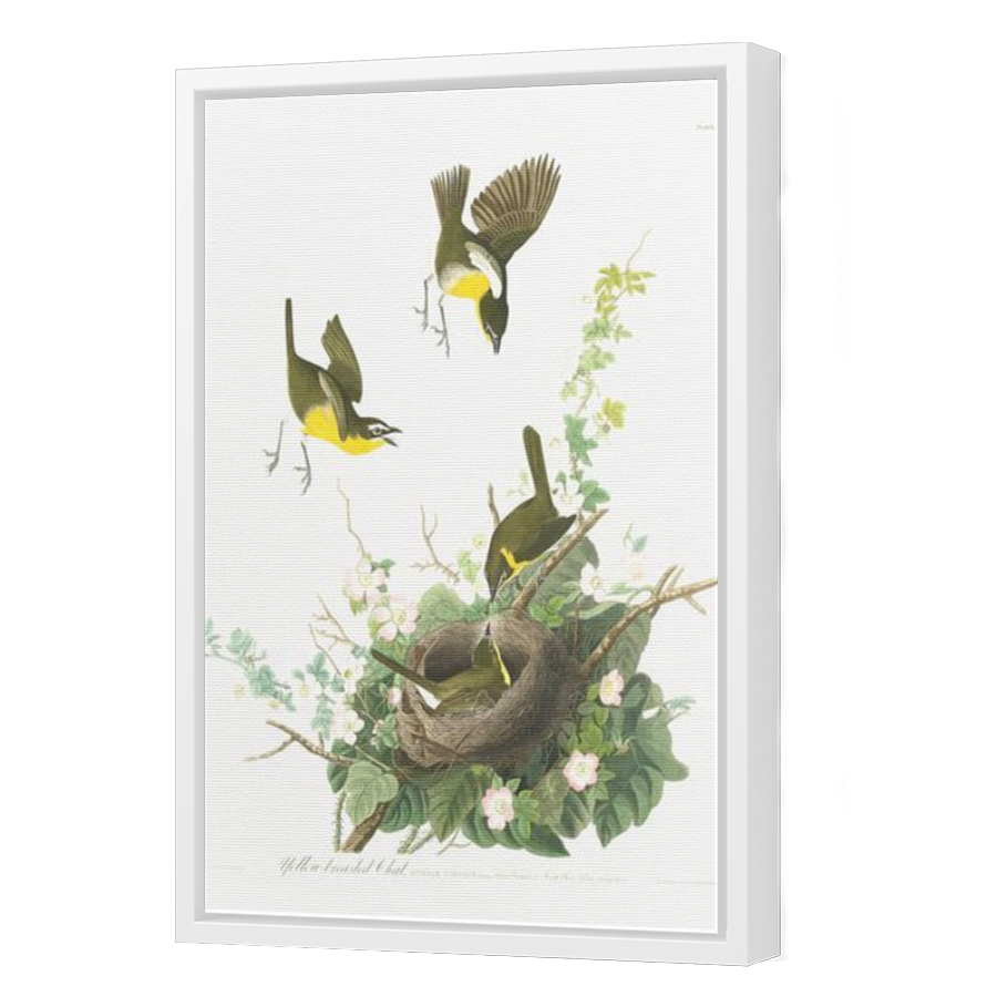 Thumbnail for Canvas - White Floating Frame