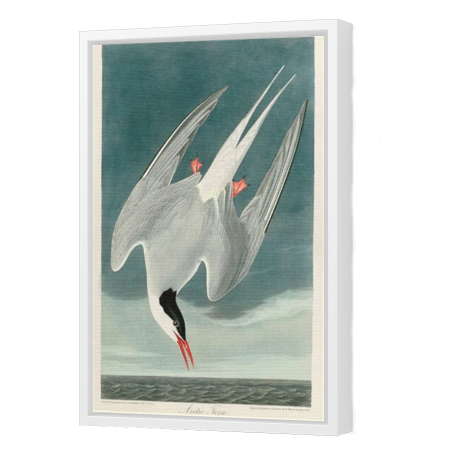 Thumbnail for Canvas - White Floating Frame