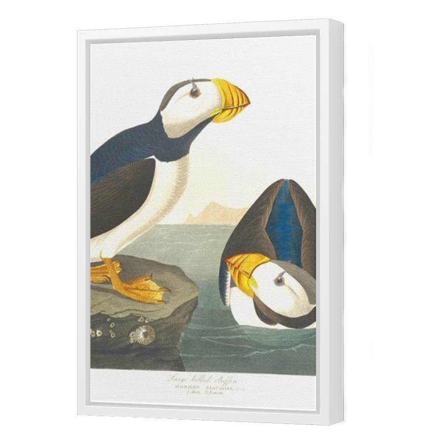 Thumbnail for Canvas - White Floating Frame