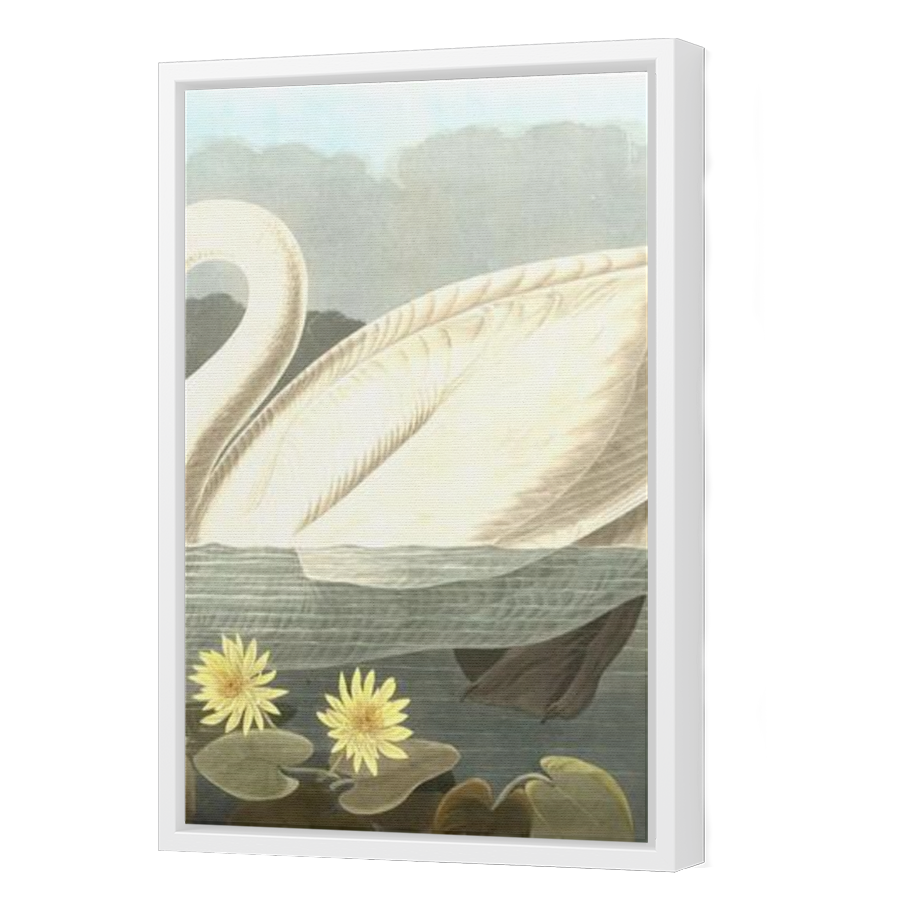Thumbnail for Canvas - White Floating Frame