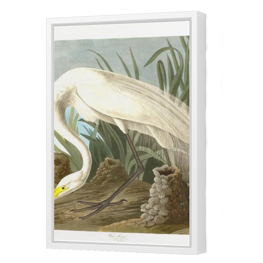 Thumbnail for Canvas - White Floating Frame
