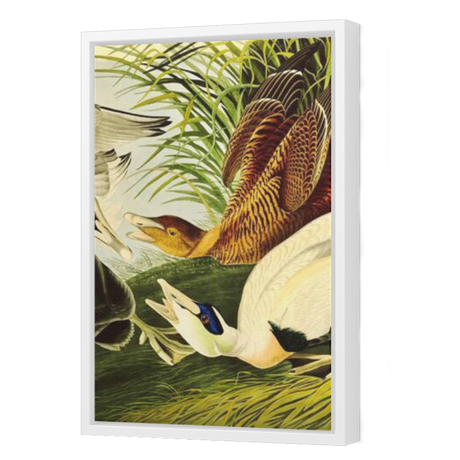 Thumbnail for Canvas - White Floating Frame