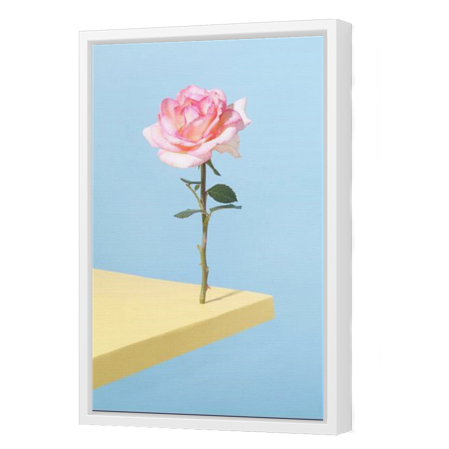 Thumbnail for Canvas - White Floating Frame