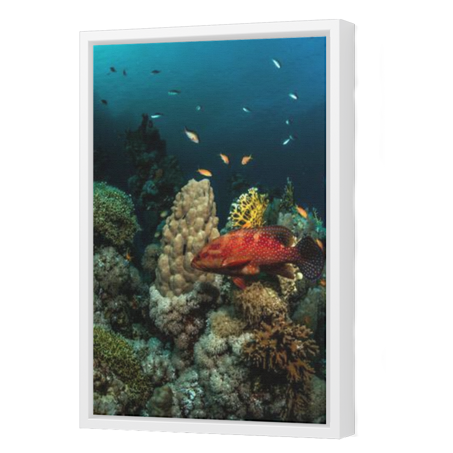 Thumbnail for Canvas - White Floating Frame