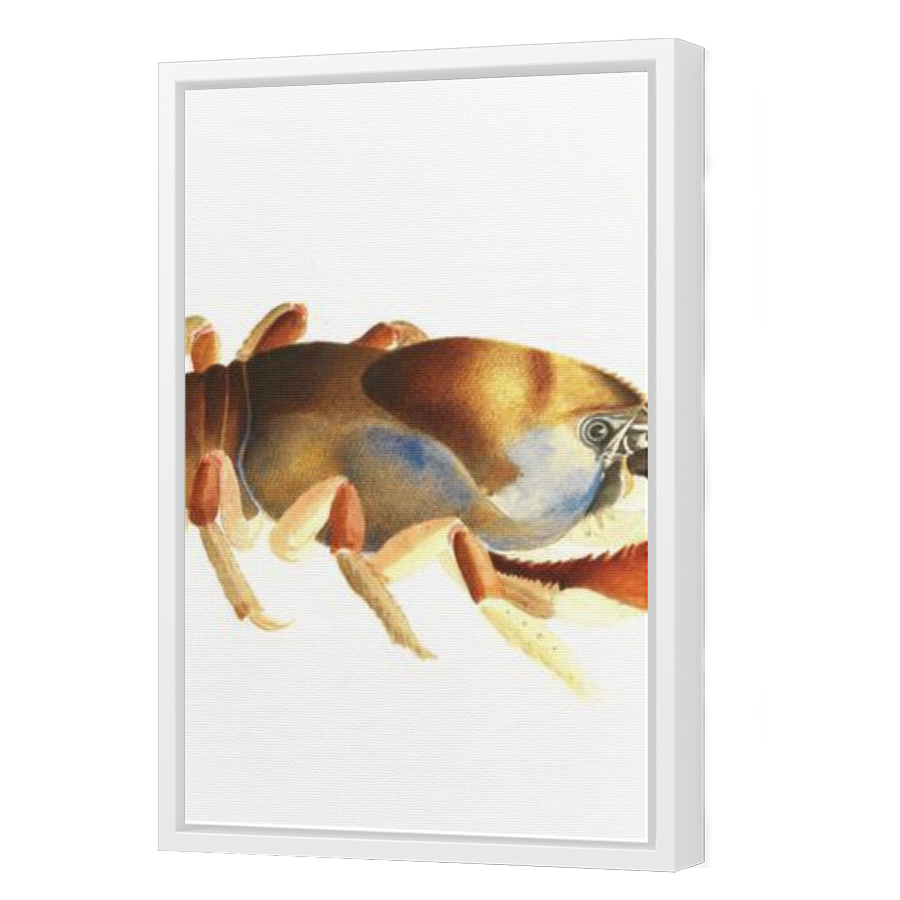 Thumbnail for Canvas - White Floating Frame