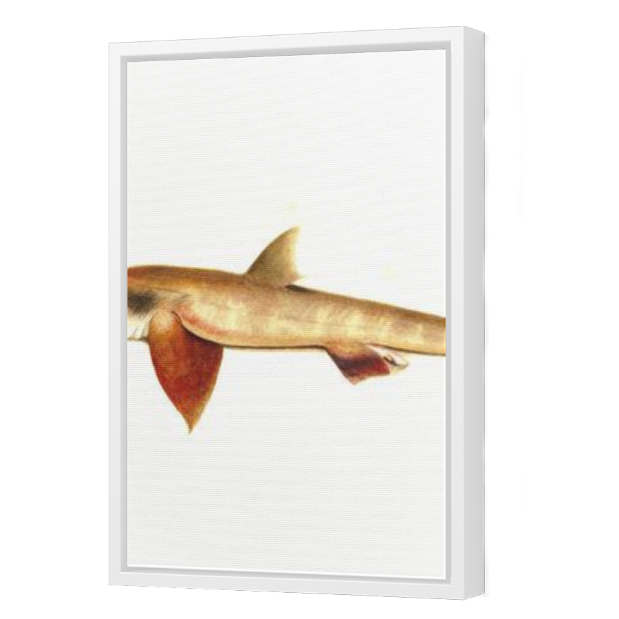 Thumbnail for Canvas - White Floating Frame