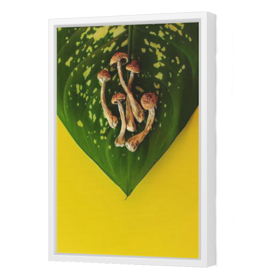 Thumbnail for Canvas - White Floating Frame