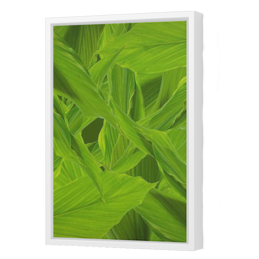 Thumbnail for Canvas - White Floating Frame