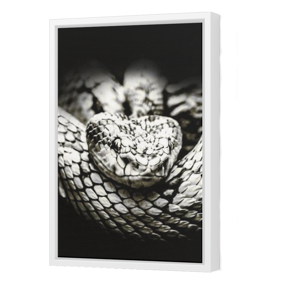 Thumbnail for Canvas - White Floating Frame