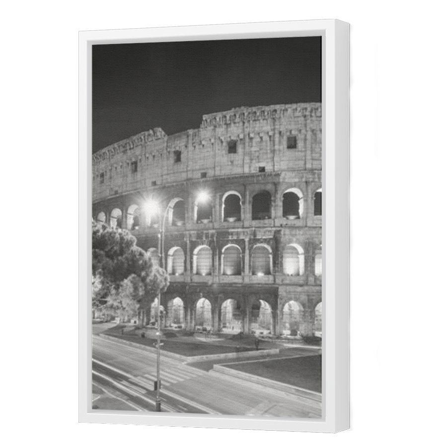Thumbnail for Canvas - White Floating Frame