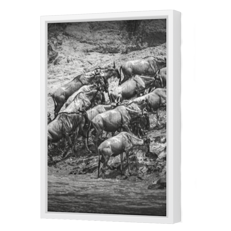 Thumbnail for Canvas - White Floating Frame