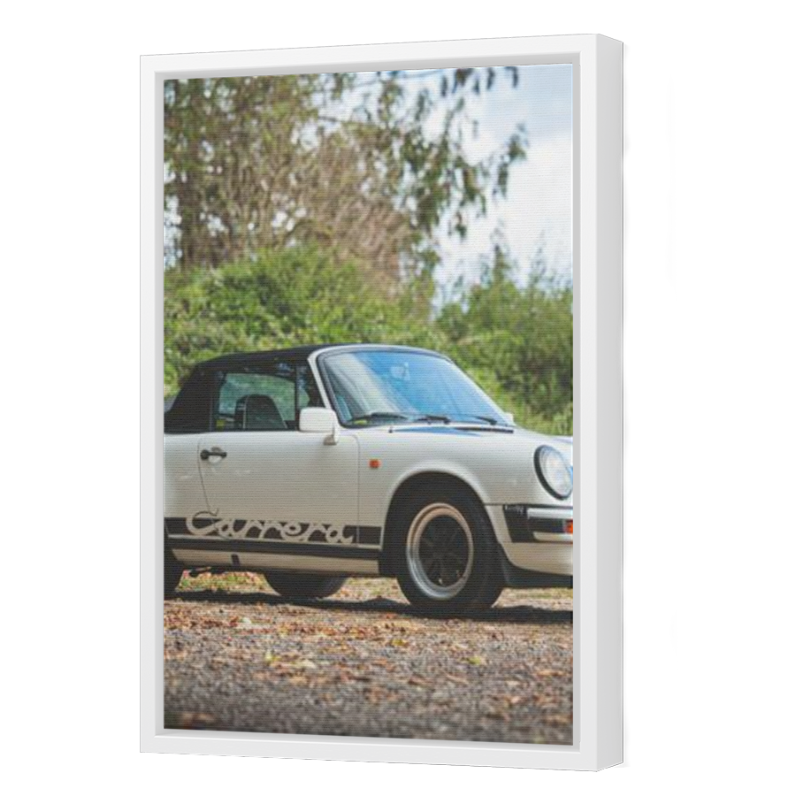 Thumbnail for Canvas - White Floating Frame