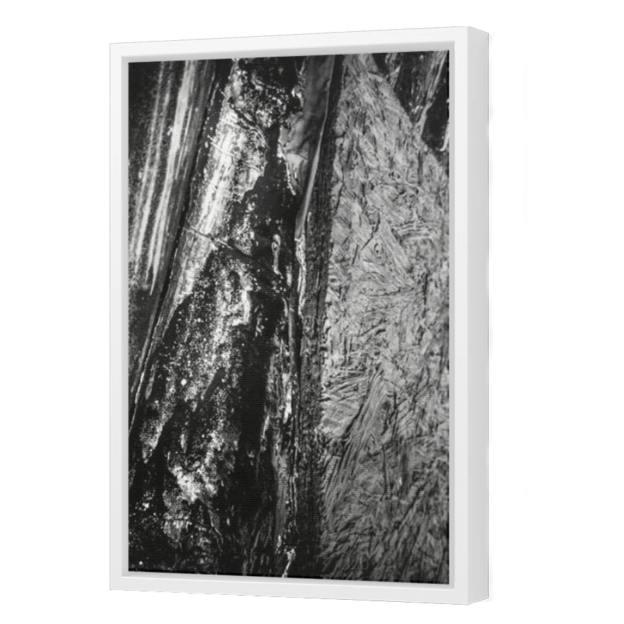 Thumbnail for Canvas - White Floating Frame