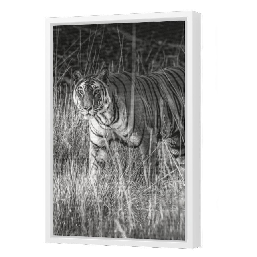 Thumbnail for Canvas - White Floating Frame