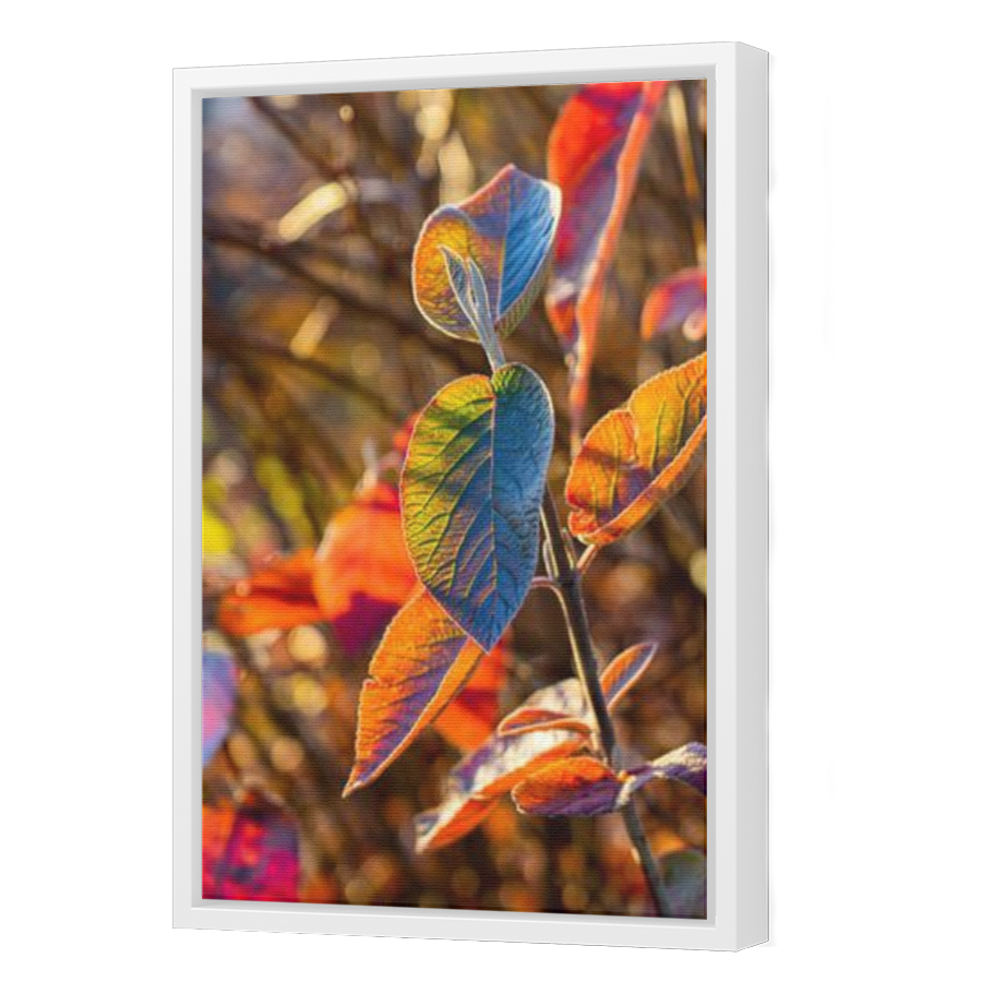 Thumbnail for Canvas - White Floating Frame