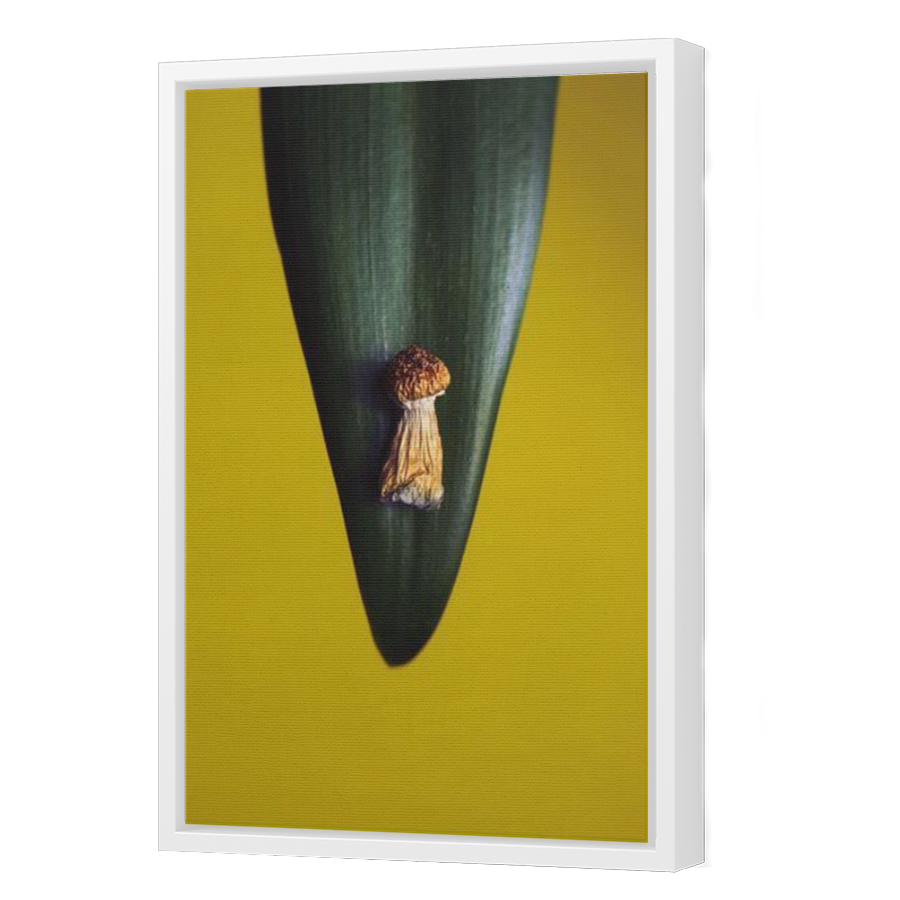 Thumbnail for Canvas - White Floating Frame