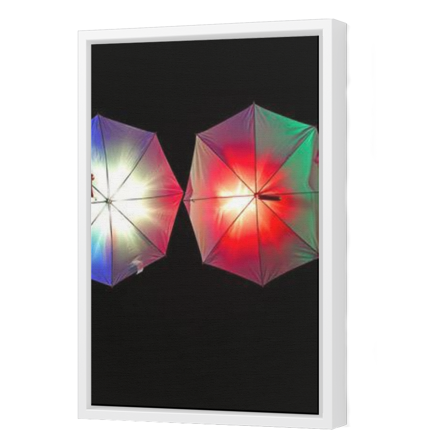 Thumbnail for Canvas - White Floating Frame
