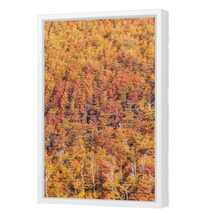 Thumbnail for Canvas - White Floating Frame