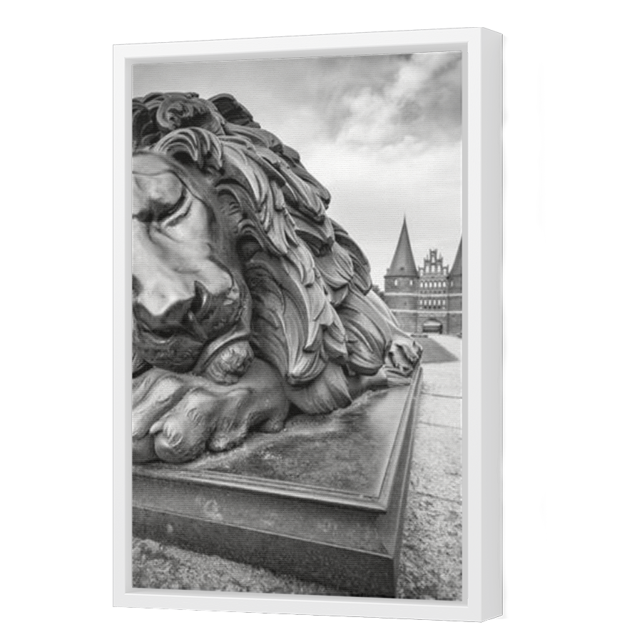 Thumbnail for Canvas - White Floating Frame
