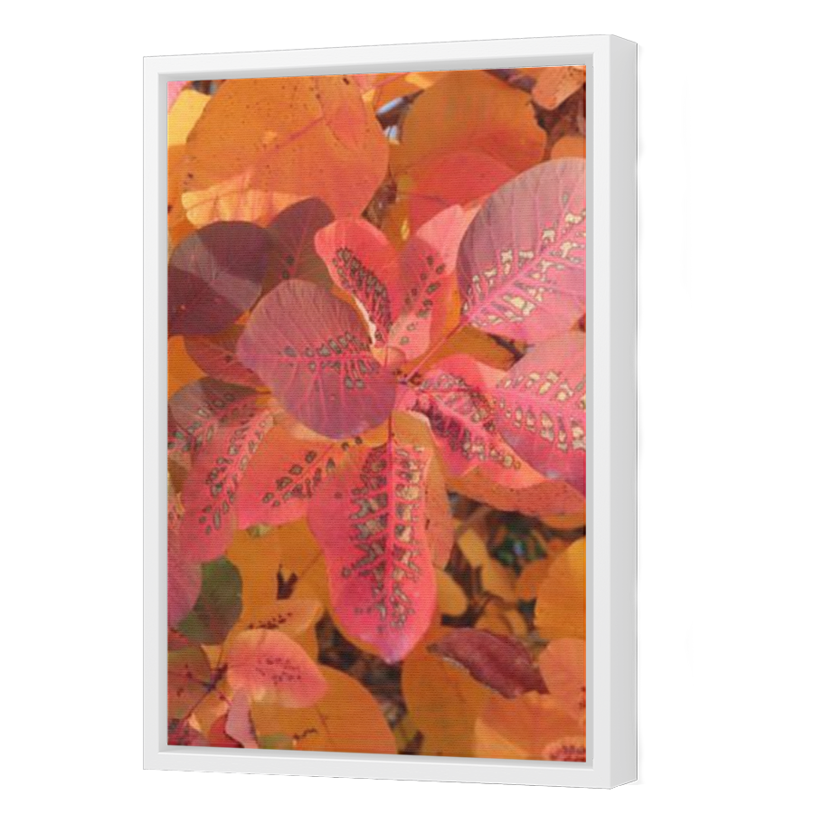 Thumbnail for Canvas - White Floating Frame