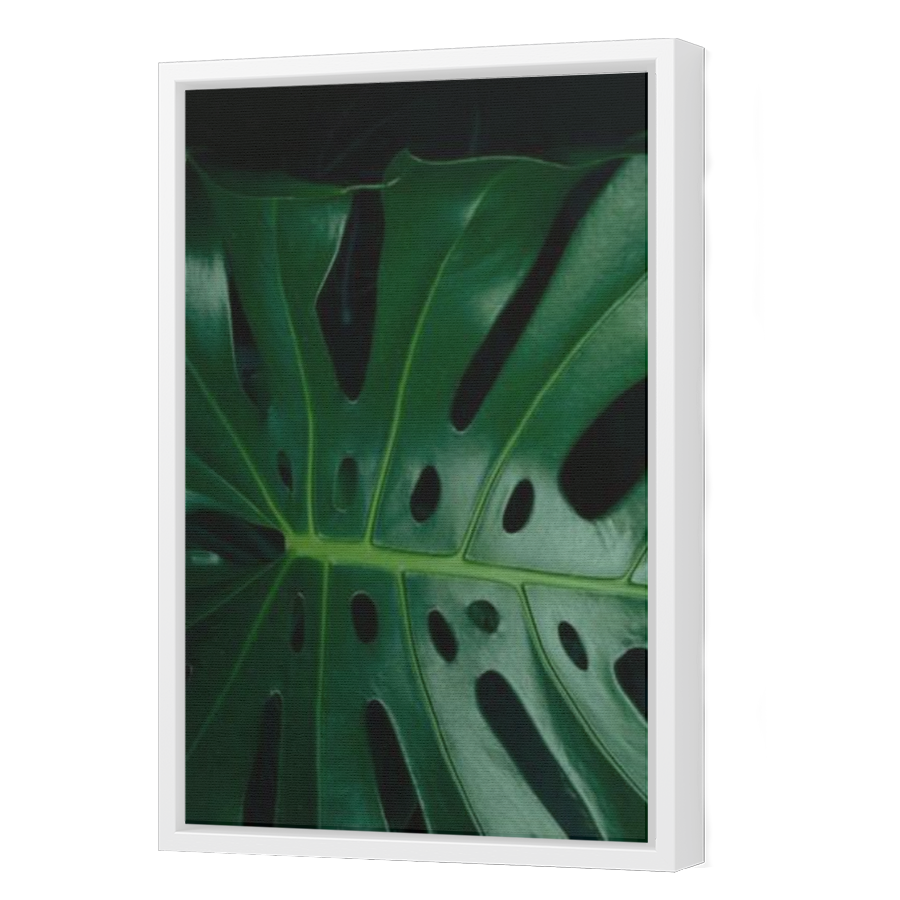 Thumbnail for Canvas - White Floating Frame