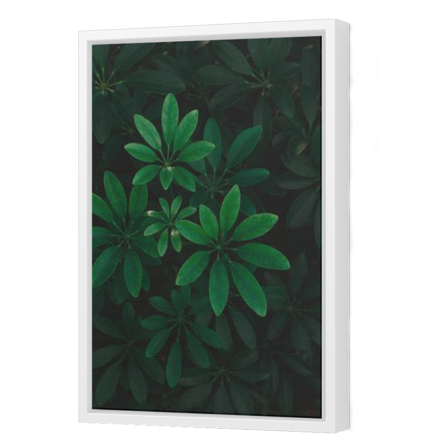 Thumbnail for Canvas - White Floating Frame