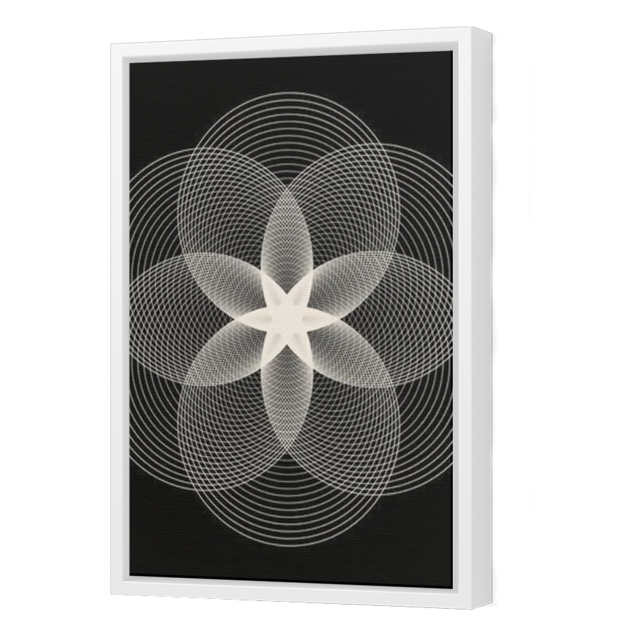 Thumbnail for Canvas - White Floating Frame