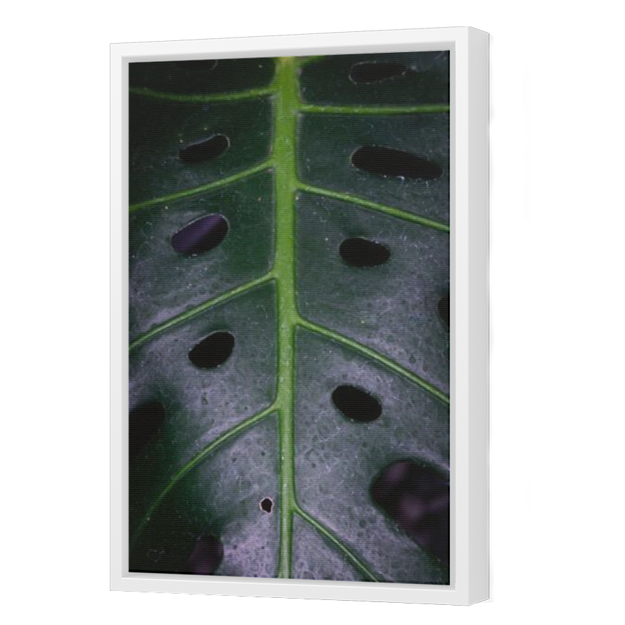 Thumbnail for Canvas - White Floating Frame