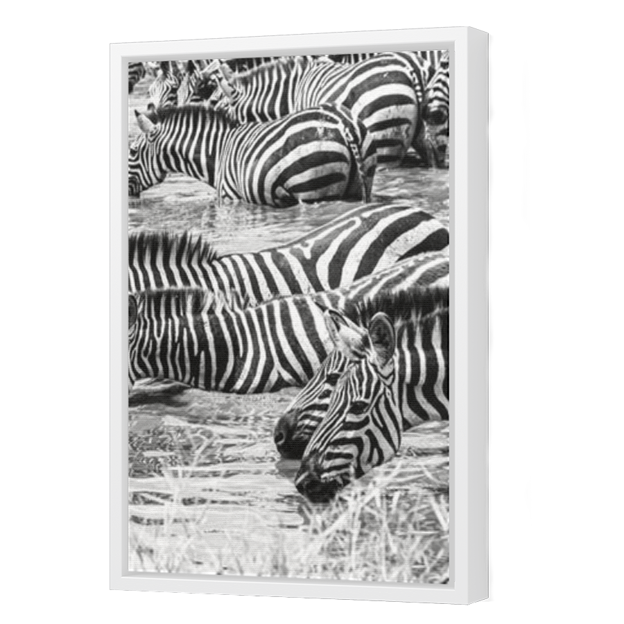 Thumbnail for Canvas - White Floating Frame