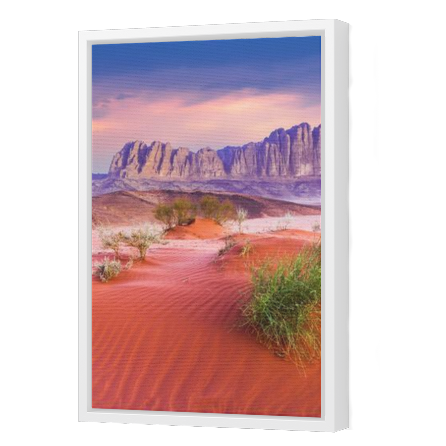 Thumbnail for Canvas - White Floating Frame