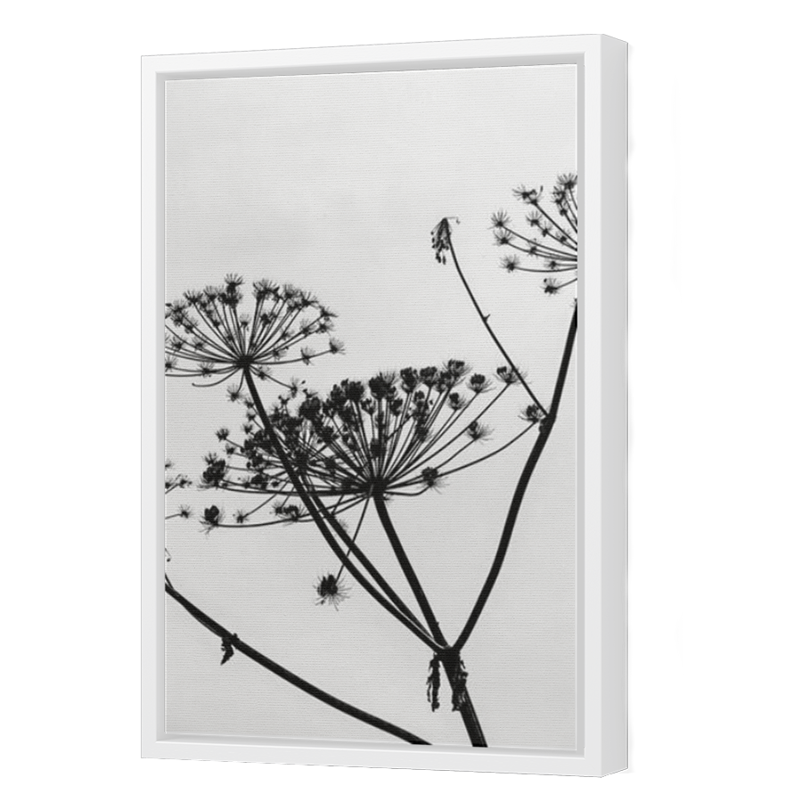 Thumbnail for Canvas - White Floating Frame