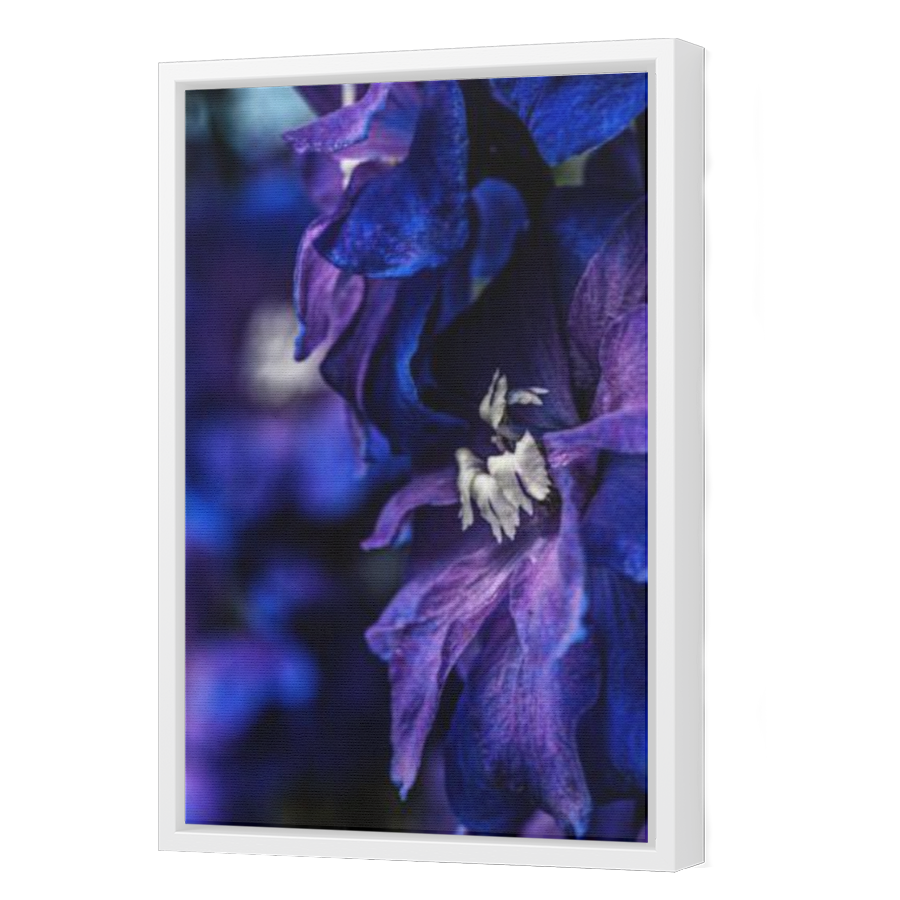 Thumbnail for Canvas - White Floating Frame