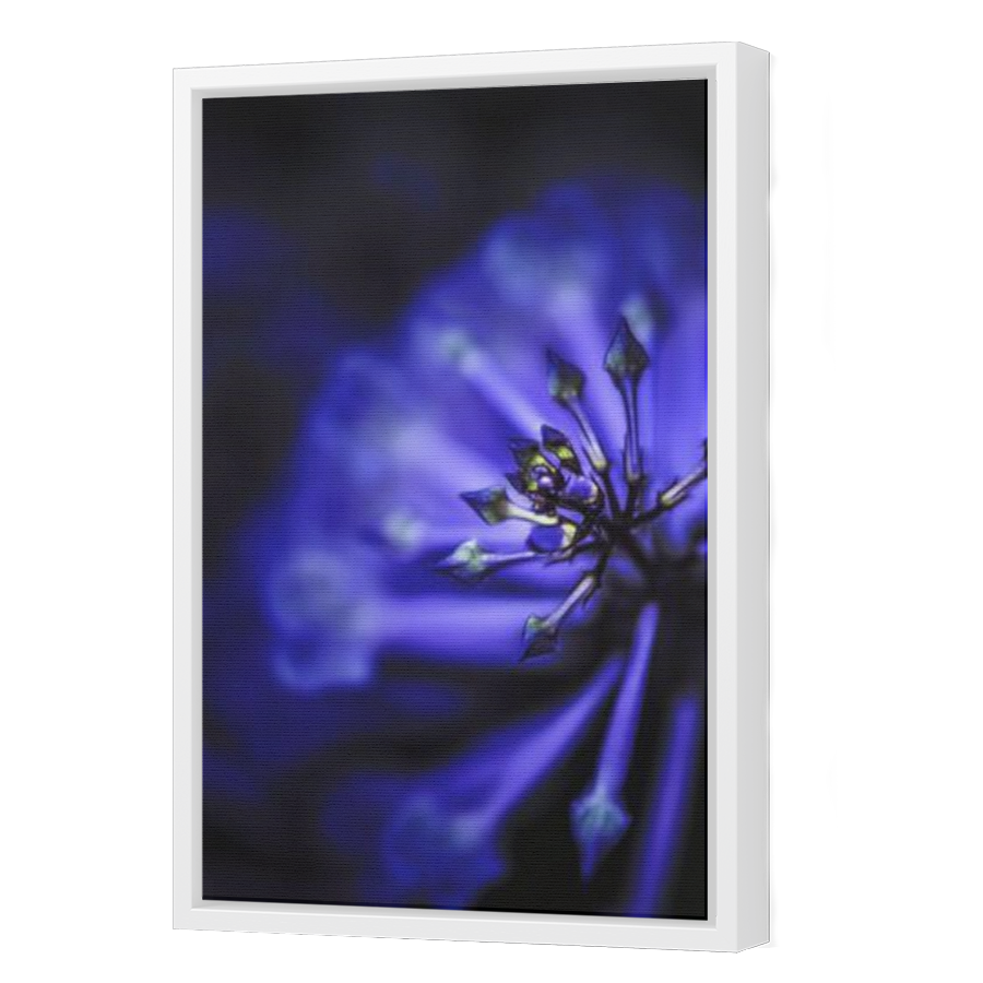 Thumbnail for Canvas - White Floating Frame