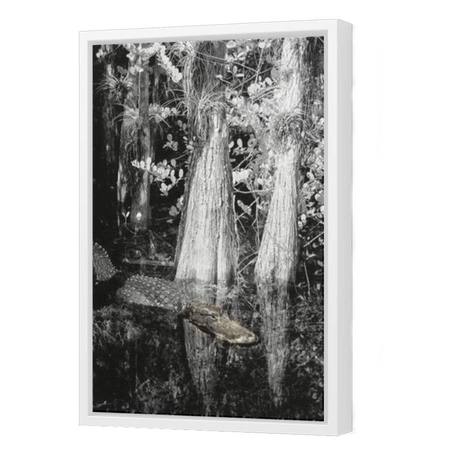 Thumbnail for Canvas - White Floating Frame