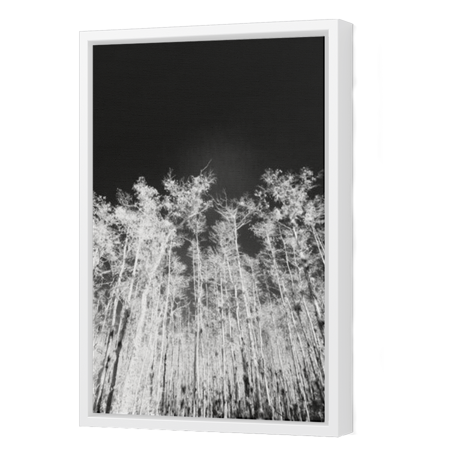 Thumbnail for Canvas - White Floating Frame