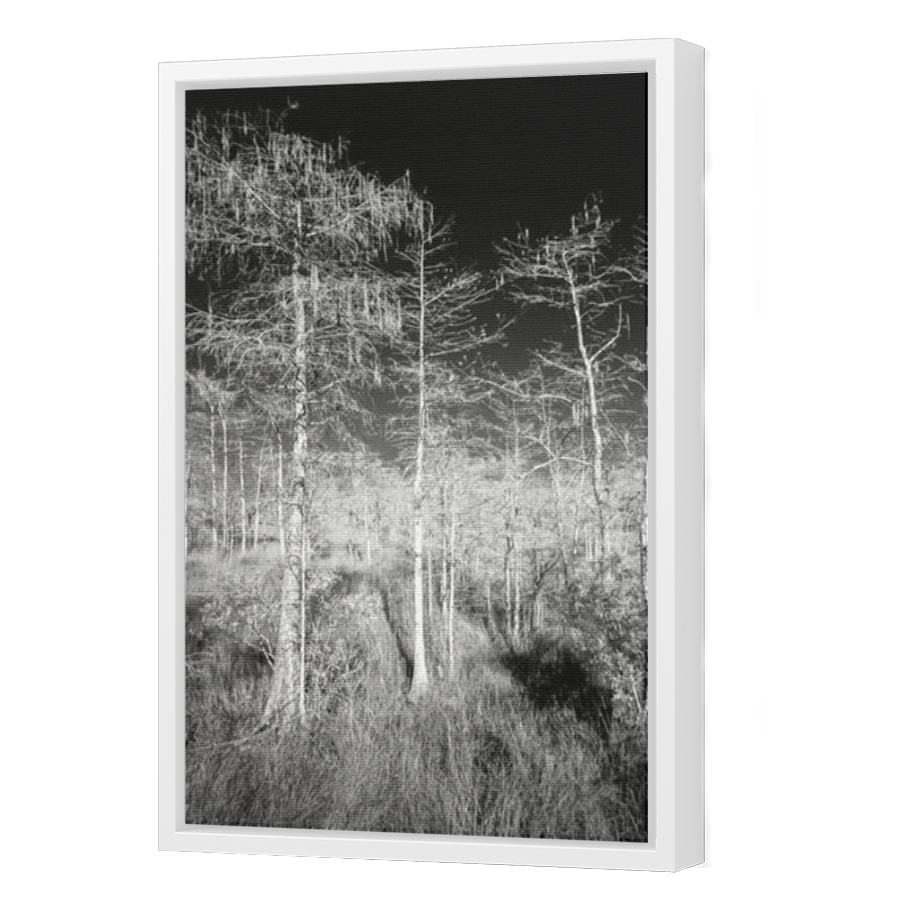 Thumbnail for Canvas - White Floating Frame