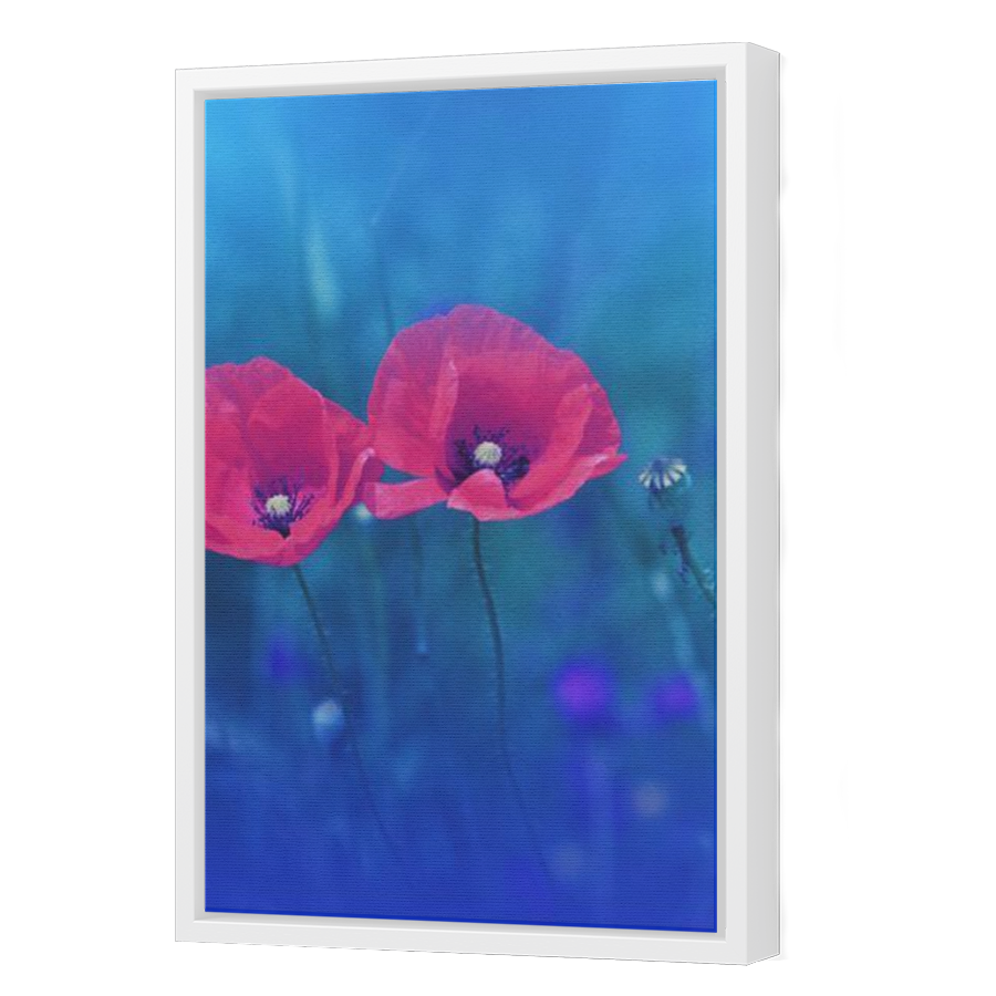 Thumbnail for Canvas - White Floating Frame