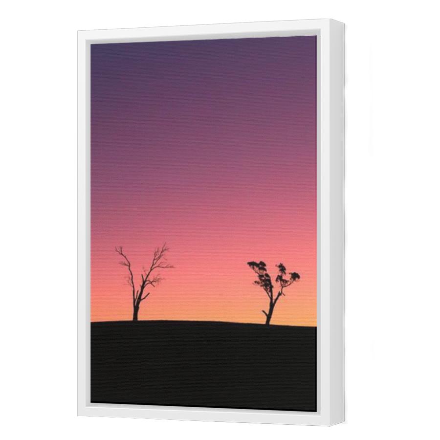 Thumbnail for Canvas - White Floating Frame