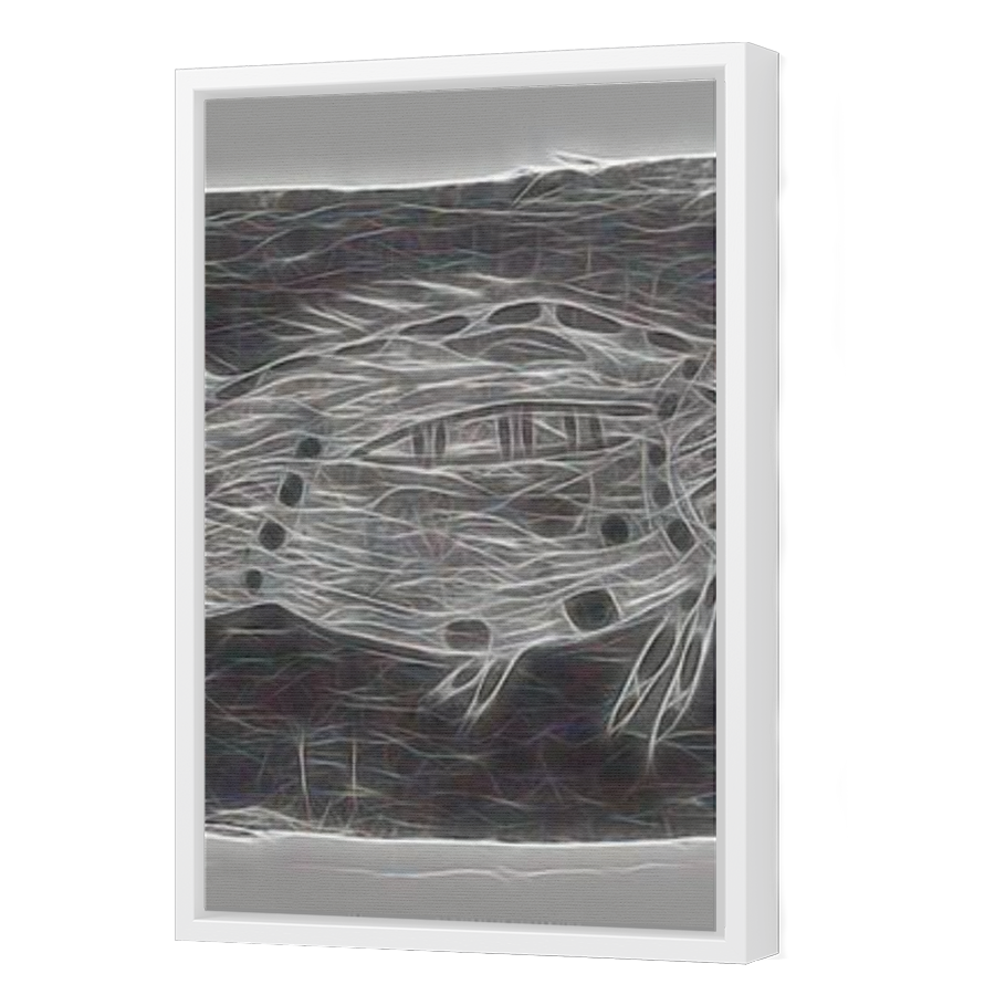 Thumbnail for Canvas - White Floating Frame