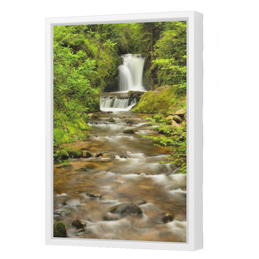 Thumbnail for Canvas - White Floating Frame