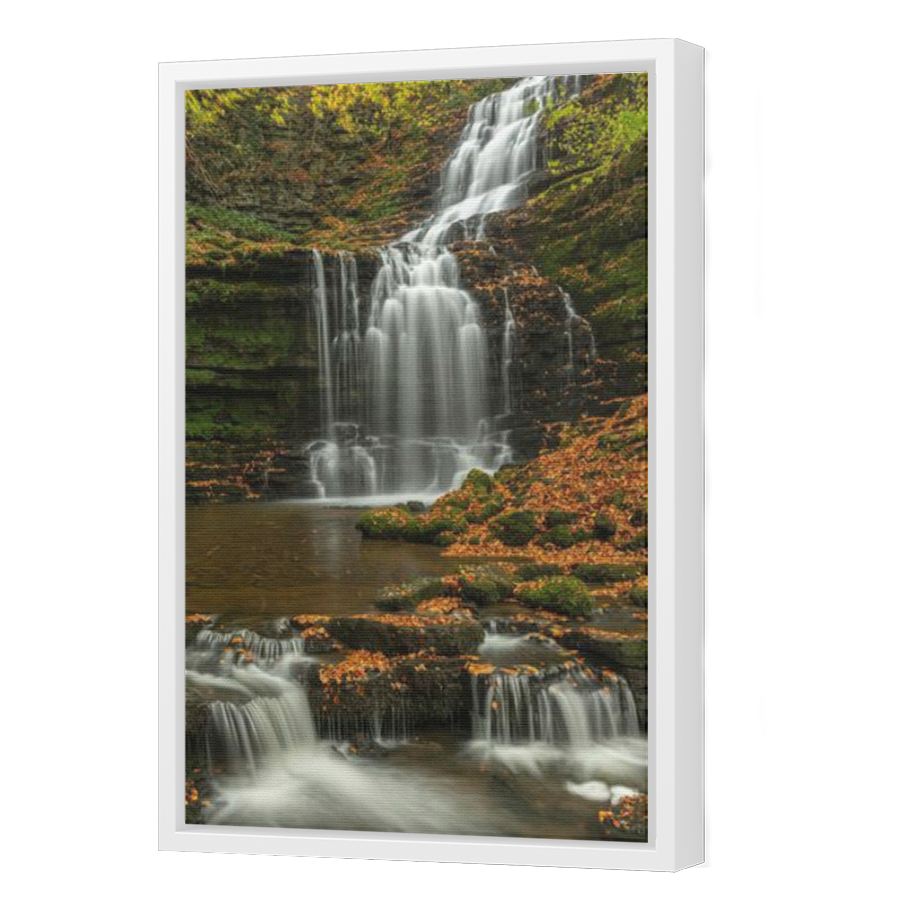 Thumbnail for Canvas - White Floating Frame