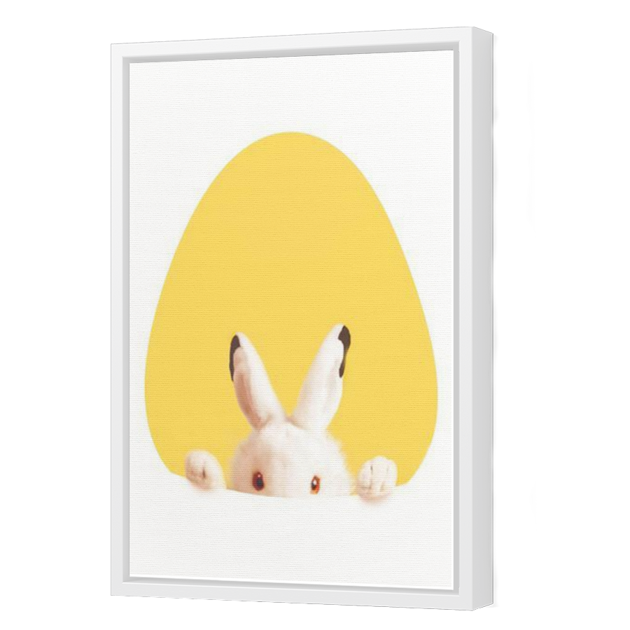 Thumbnail for Canvas - White Floating Frame