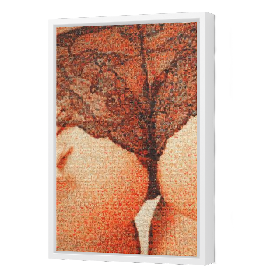 Thumbnail for Canvas - White Floating Frame