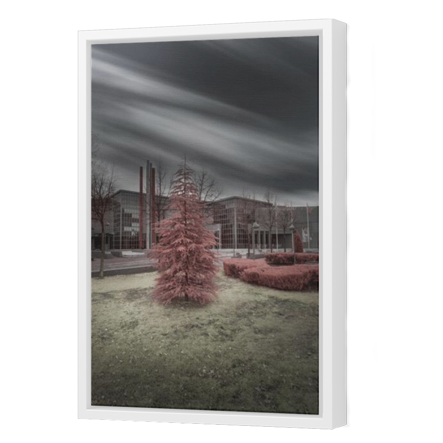 Thumbnail for Canvas - White Floating Frame