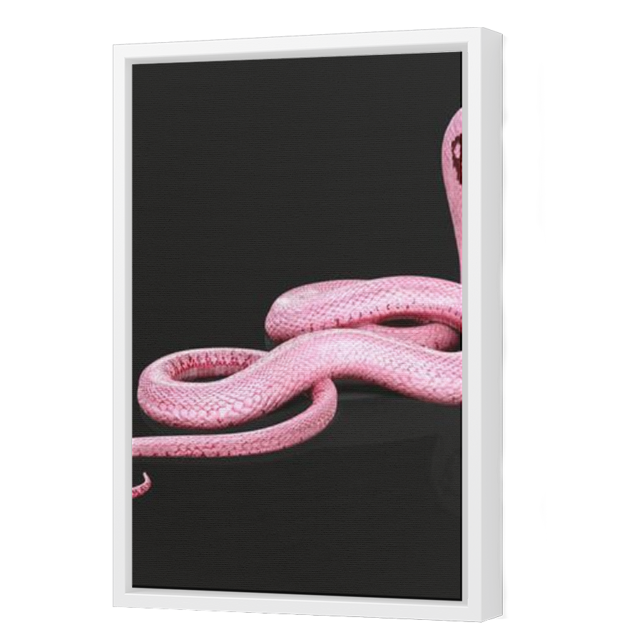 Thumbnail for Canvas - White Floating Frame